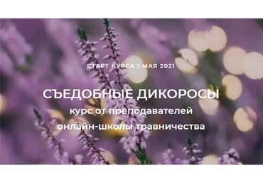 [FestTrav] Съедобные дикоросы (Наталья Замятина, Сергей Апполонов)