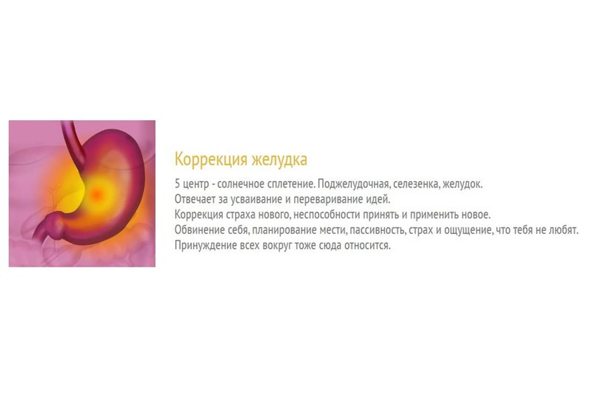 Коррекция желудка (Юджиния Квант), фото 1 из 1.