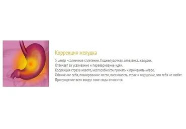 Коррекция желудка (Юджиния Квант)