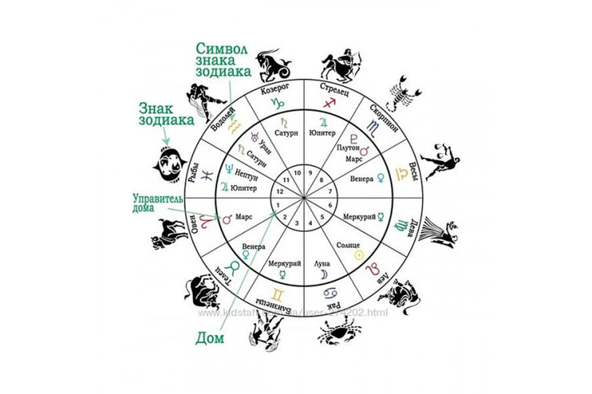 Многоуровневый разбор 12-ти домов гороскопа. Навыки чтения натальной карты (Ирина Тимошенко), фото 1 из 1.