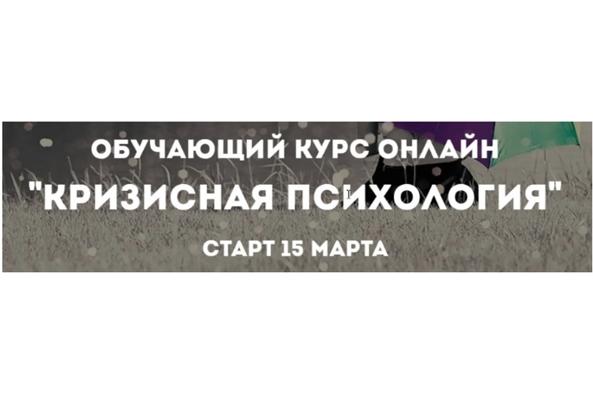 [Психологи онлайн] Кризисная психология (Наталия Борисова, Вера Бутова), фото 1 из 1.
