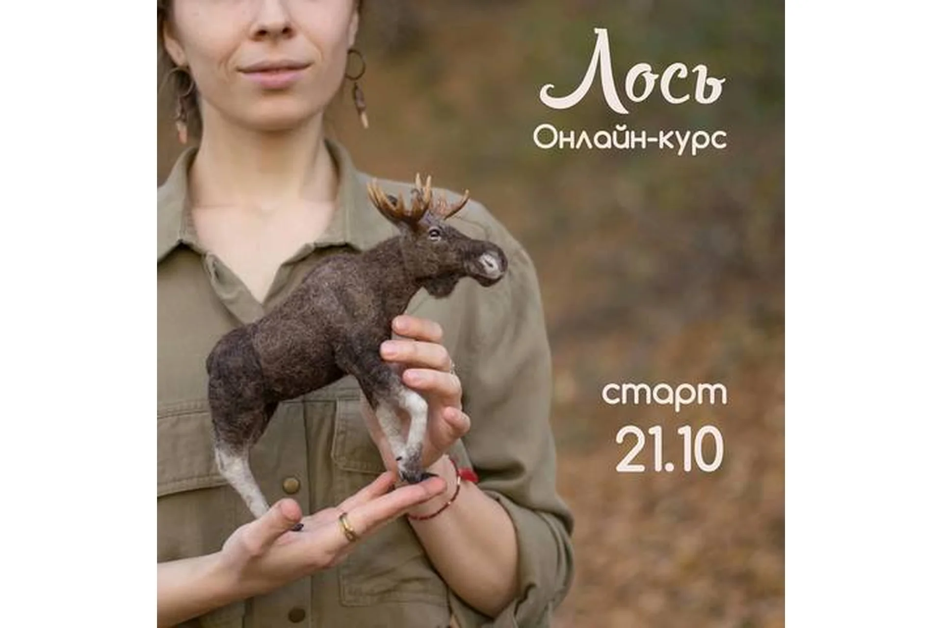 Лось (Ася Синявская), фото 1 из 1.