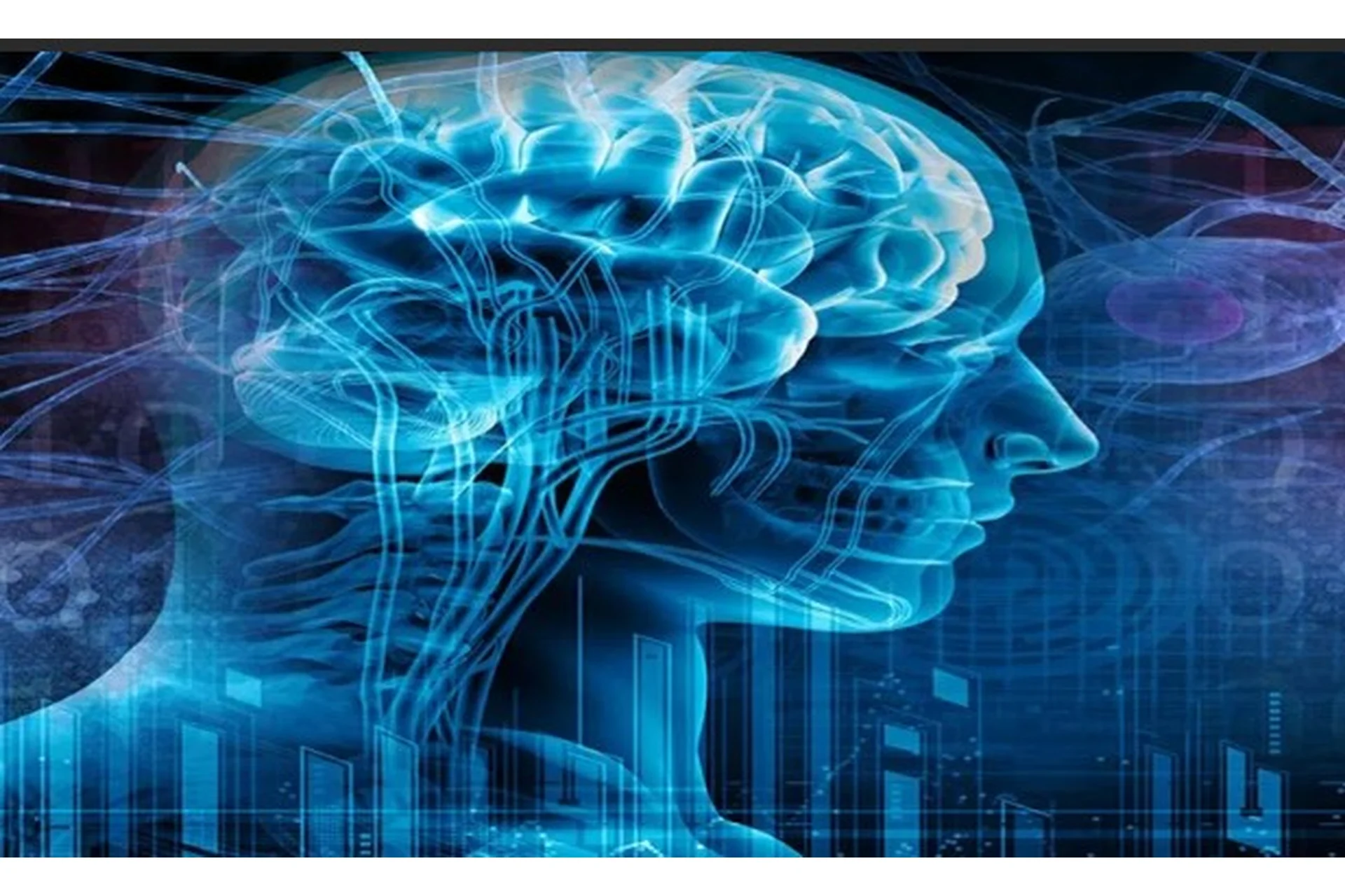 Здоровый и функциональный мозг в любом возрасте (Ольга Бутакова), фото 1 из 1.