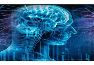 Здоровый и функциональный мозг в любом возрасте (Ольга Бутакова)