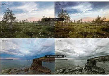 [CreativeMarket] Сборник пресетов, 6 паков для LR (Design Panoply)