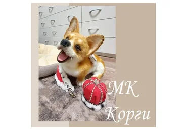 Корги (Валентина Крижановская)