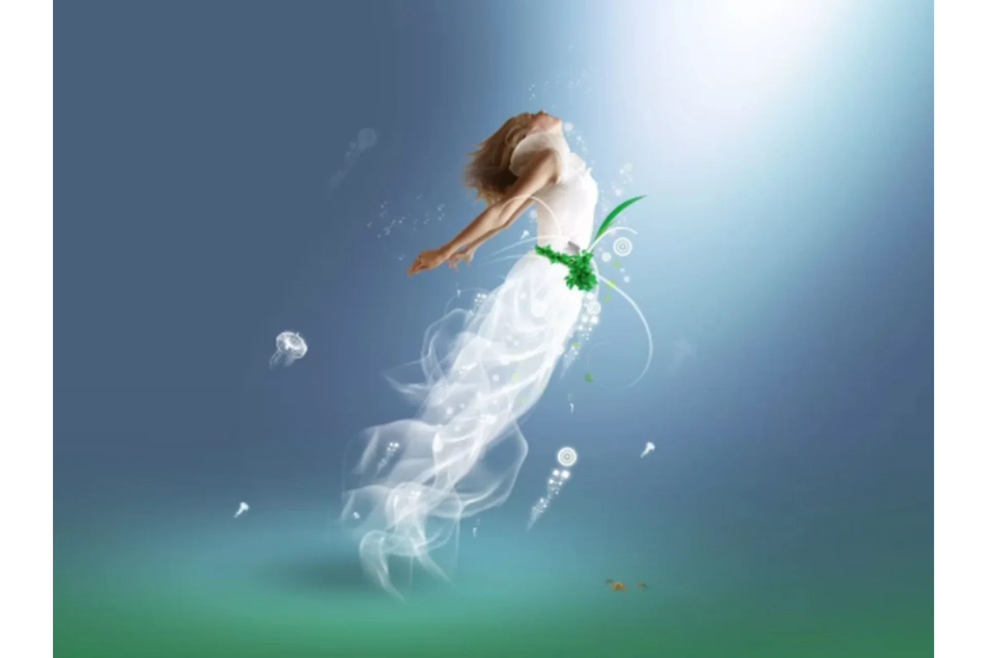 Очищение от энергопаразитов (Шинара Рахимова), фото 1 из 1.