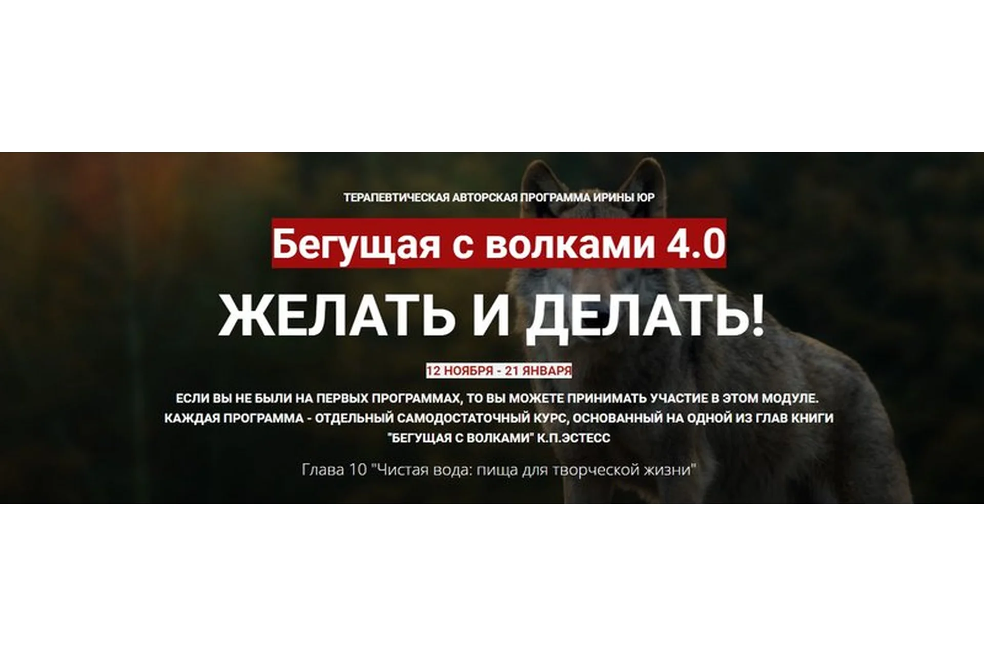 Бегущая с волками 4.0. Желать и делать (Ирина Юр), фото 1 из 1.