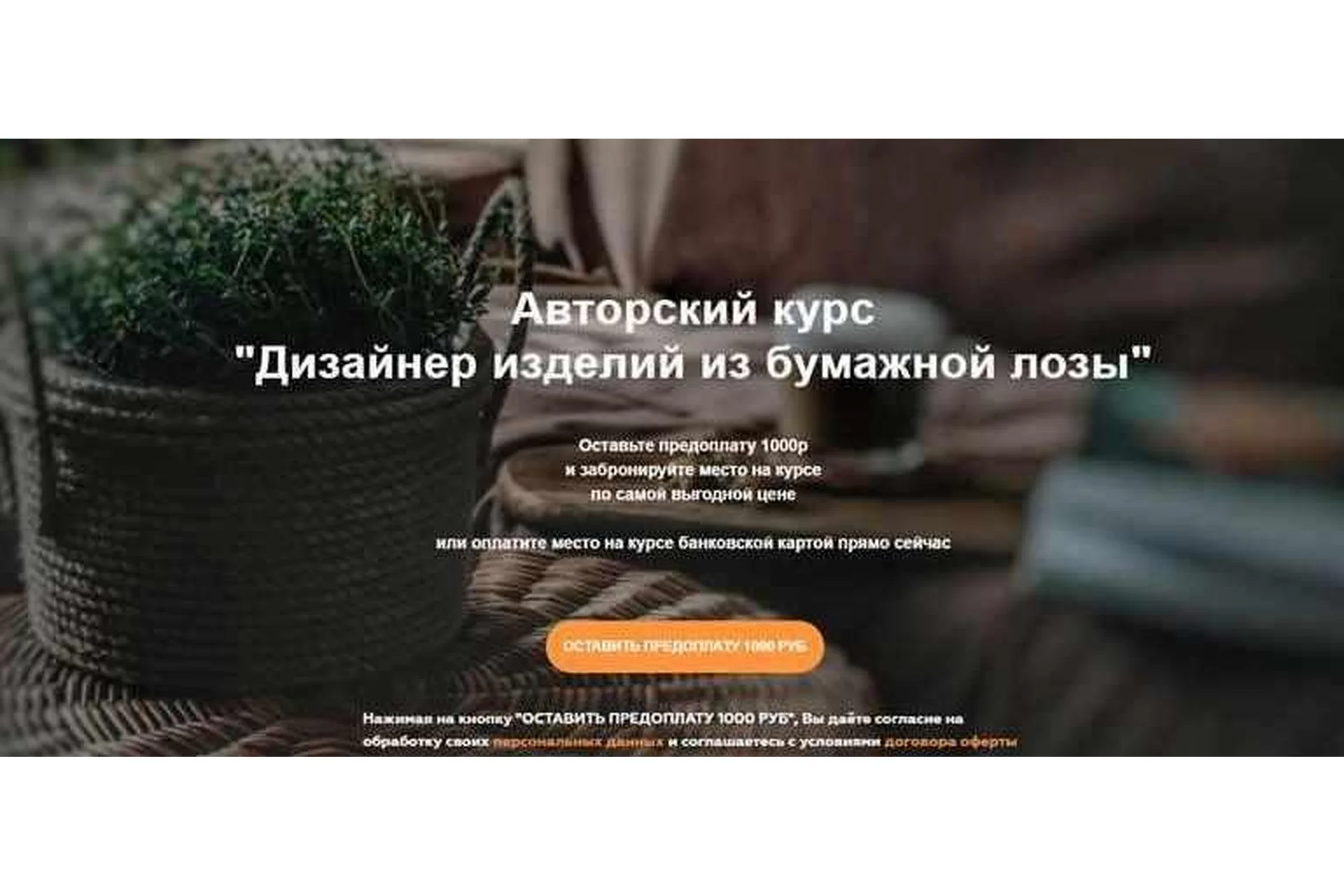 [Плету лозу] Дизайнер изделий из бумажной лозы. Тариф - Мастерица (Полина Майорова), фото 1 из 1.