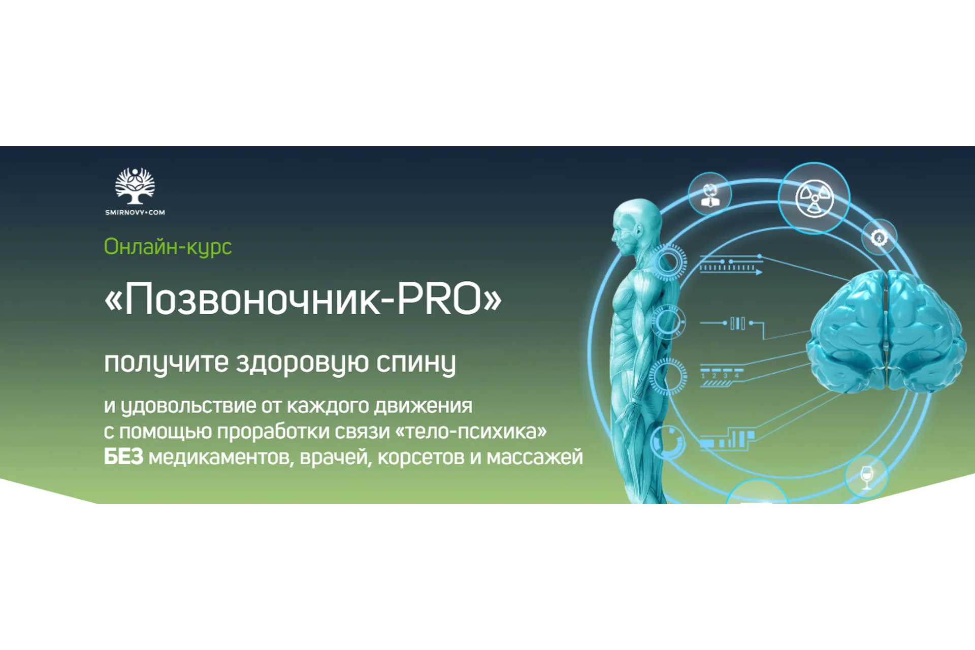 Позвоночник-Pro. Пакет Standard. 2021 (Вячеслав Смирнов), фото 1 из 1.