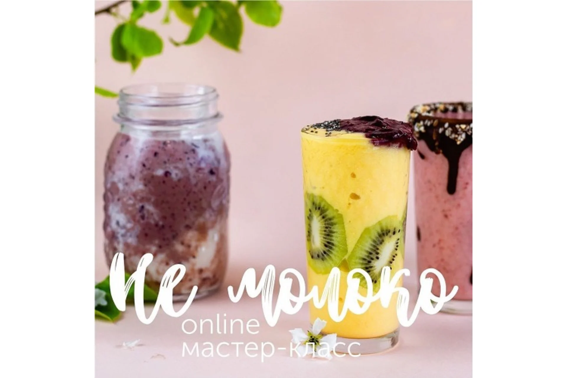 [Кулинарная школа ЗОЖигай] МК НЕ Молоко. Весь курс из 3 мк (leonov_chef), фото 1 из 1.