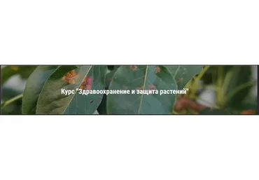 [Умный Садовник] Здравоохранение и защита растений (Дмитрий Звонка)