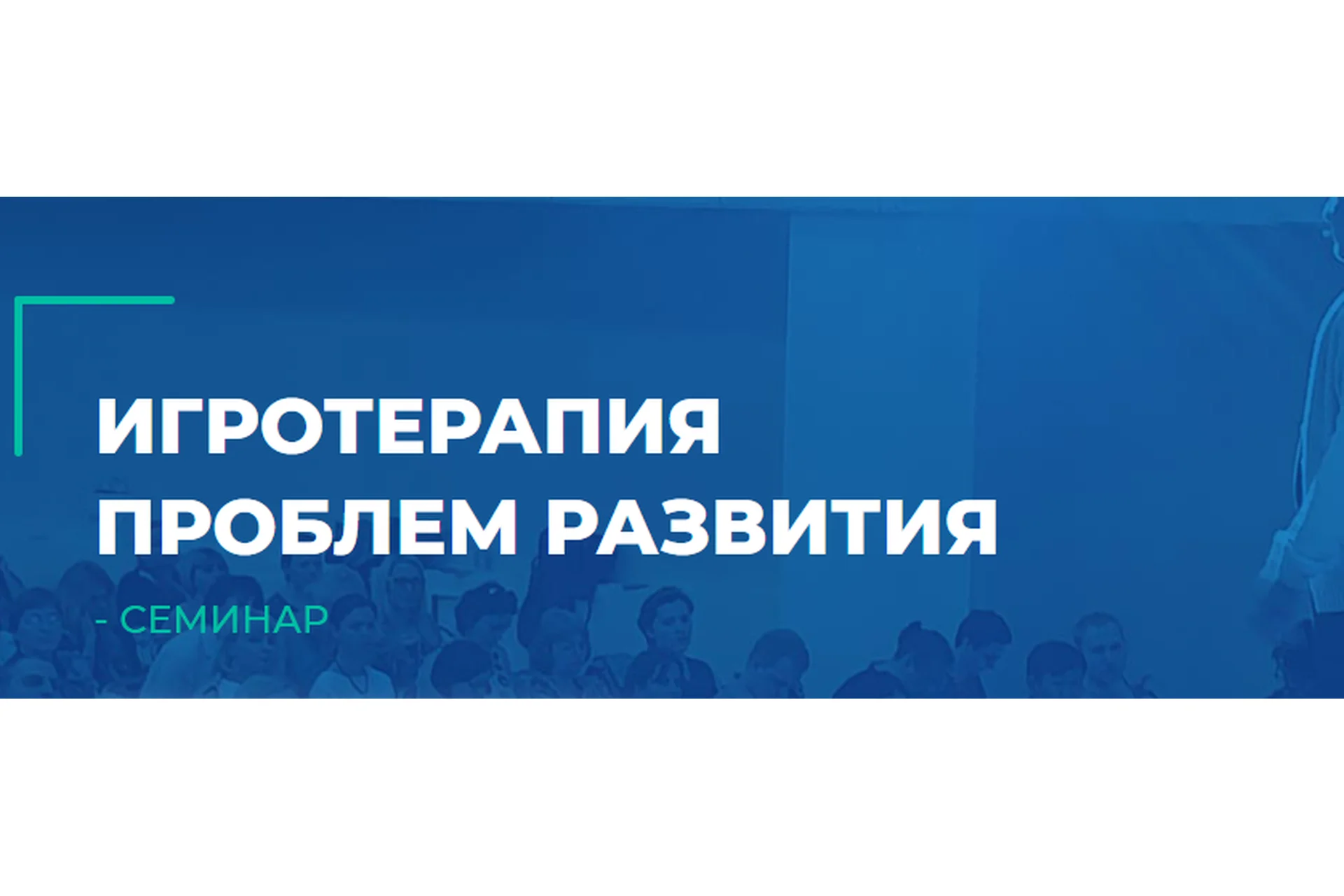 [ИИП] Игротерапия проблем развития (Наталья Кашмалова, Александр Гончаров), фото 1 из 1.
