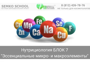 [7koschool] Нутрициология. Блок 7 "Эссенциальные микро- и макронутриенты" (Анастасия Семко)