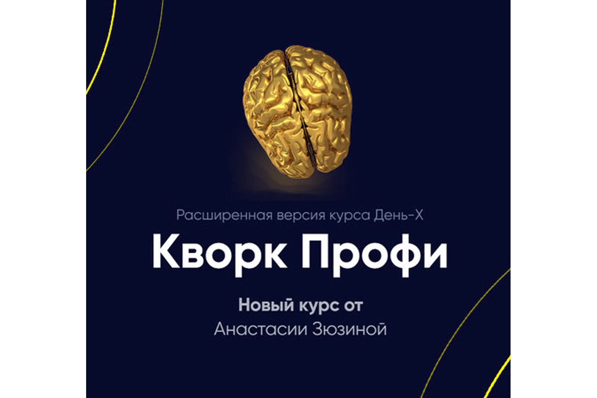 Кворк Профи. Расширенная версия курса День-Х (Анастасия Зюзина), фото 1 из 1.