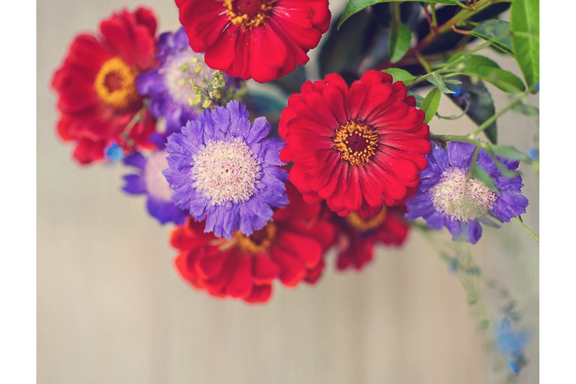 [Paintthemoon.net] Воздушные экшены. Fresh Wonderland, фото 1 из 1.