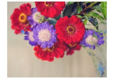 [Paintthemoon.net] Воздушные экшены. Fresh Wonderland