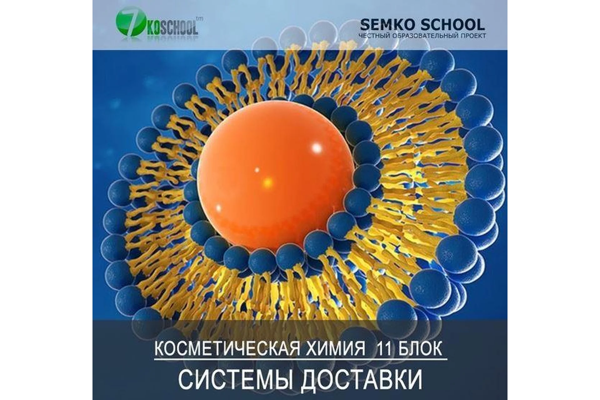 Косметическая химия, Блок 11 «Трансэпидермальные системы доставки» (Анастасия Семко), фото 1 из 1.