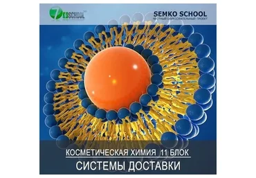 Косметическая химия, Блок 11 «Трансэпидермальные системы доставки» (Анастасия Семко)