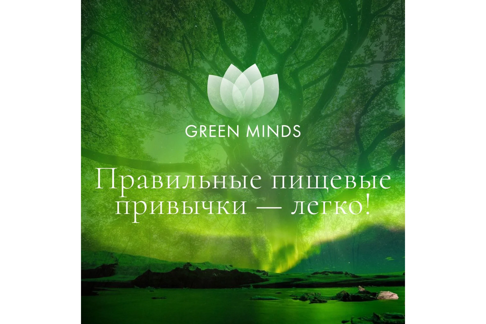 Нейромедитация Green minds «Правильные пищевые привычки — легко!» (Алексей Ситников), фото 1 из 1.