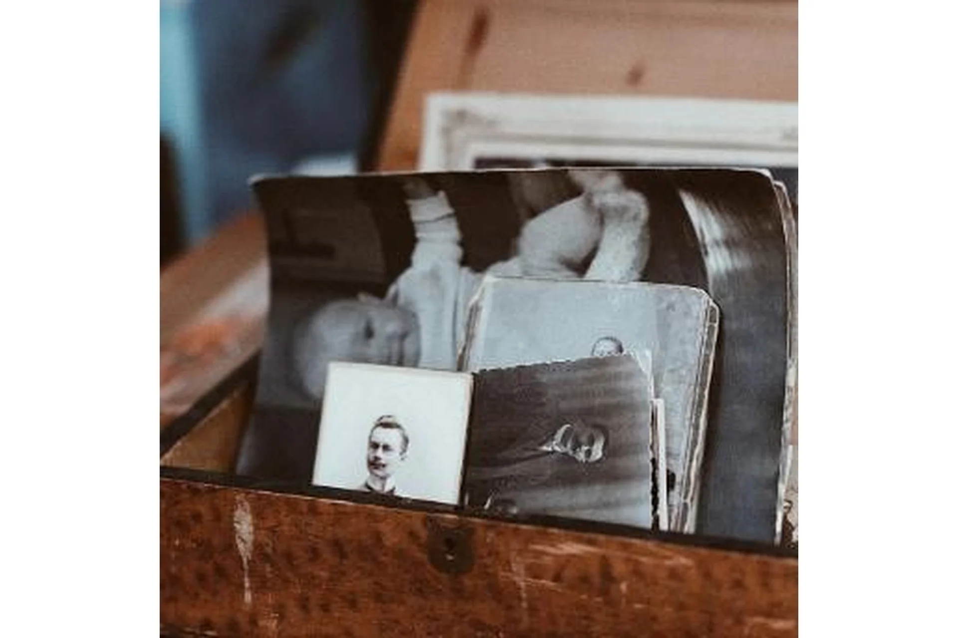 Исследование Рода: 12 дом и Двадашамша Варга (Анна Ласточкина), фото 1 из 1.