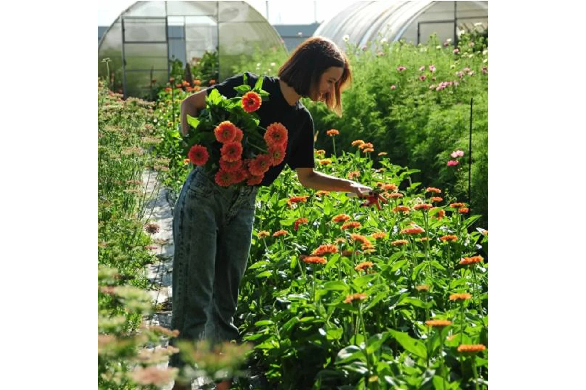 [Local flowers] Маленькая цветочная ферма, 2021 (Екатерина Фролова), фото 1 из 1.