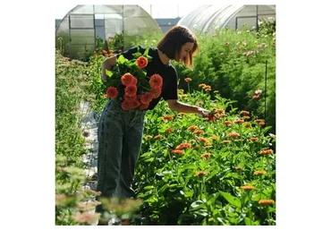 [Local flowers] Маленькая цветочная ферма, 2021 (Екатерина Фролова)