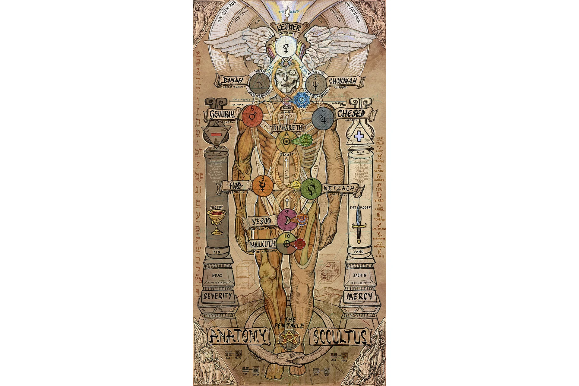 [dome.center] Перепрошивка Аватара Homo Sapinens, фото 1 из 1.