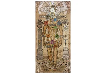 [dome.center] Перепрошивка Аватара Homo Sapinens