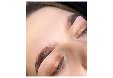 Лами бровей (ДУ) (Анна Ромашенко)