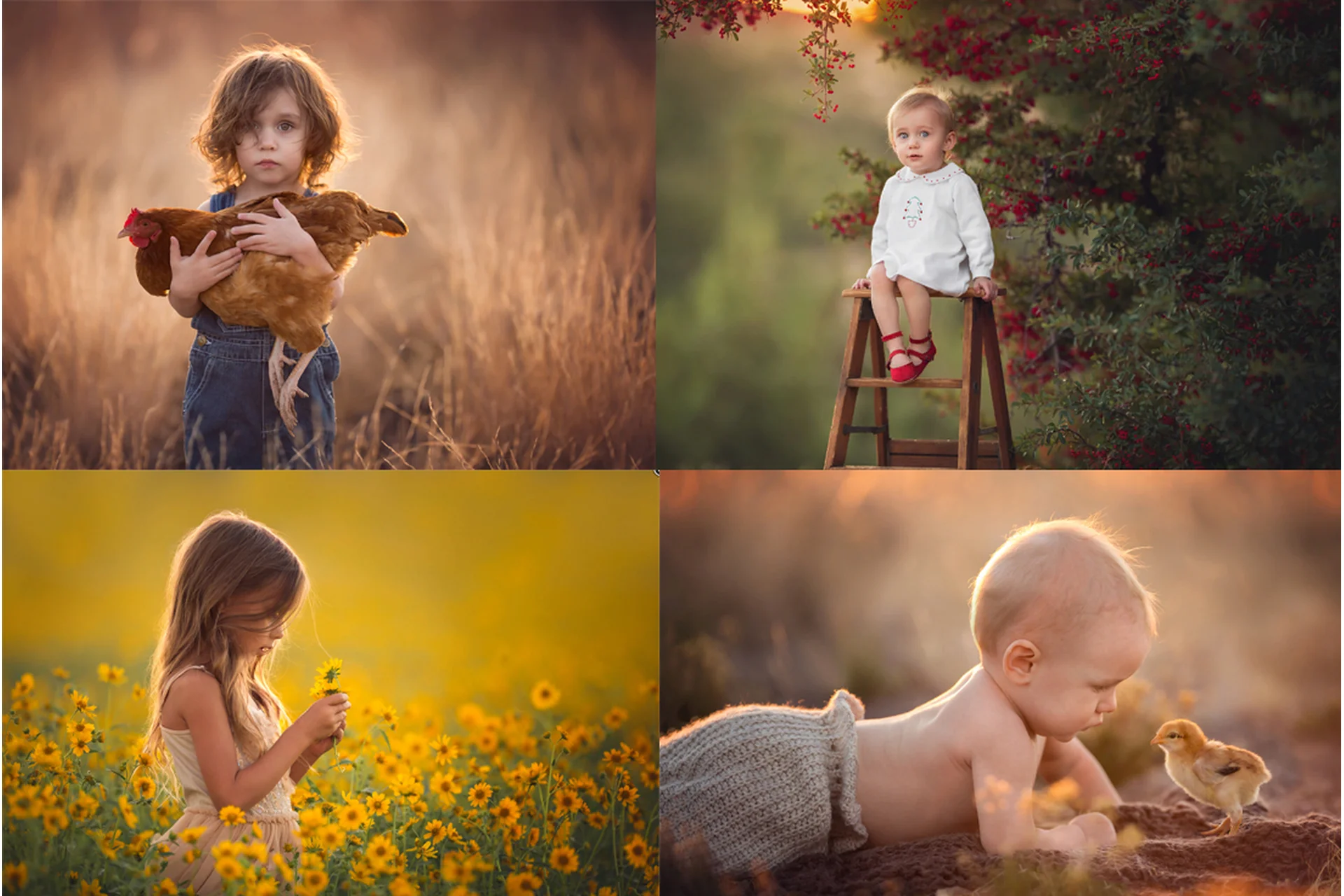 Пресеты The complete lightroom preset collection (Lisa Holloway), фото 1 из 1.