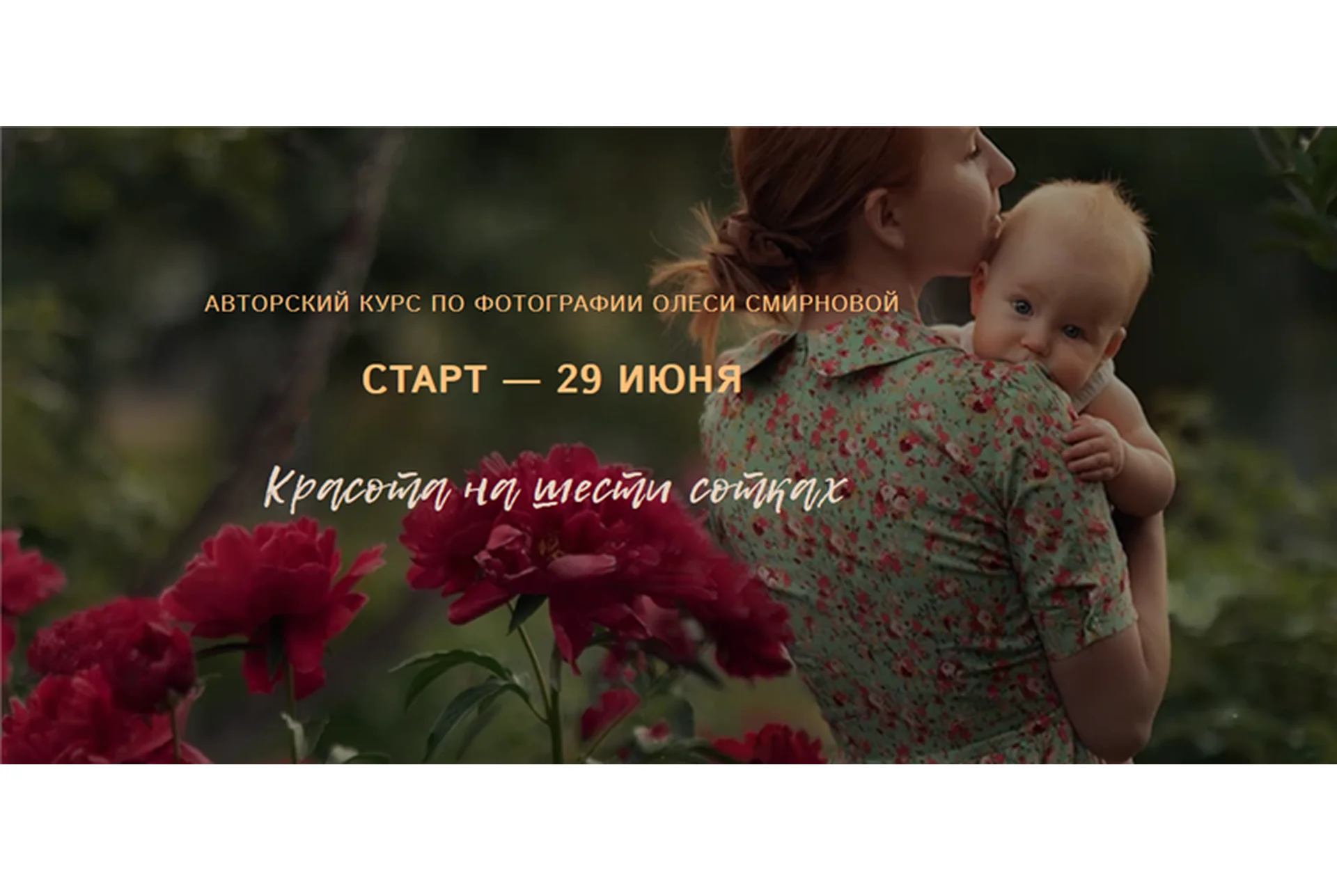 Красота на шести сотках. Пакет - Могу сам (Олеся Смирнова), фото 1 из 1.