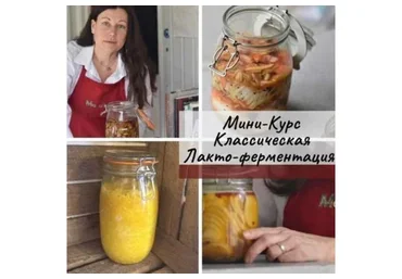 [mazaika] Классическая лакто-ферментация (Анна Дроздова)