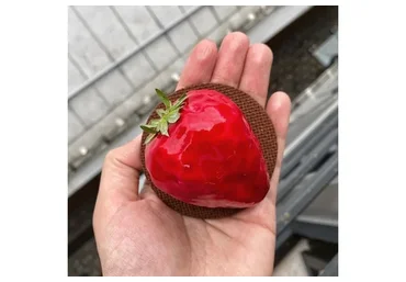 Муссовое пирожное Клубника (Саба Джанджгава)