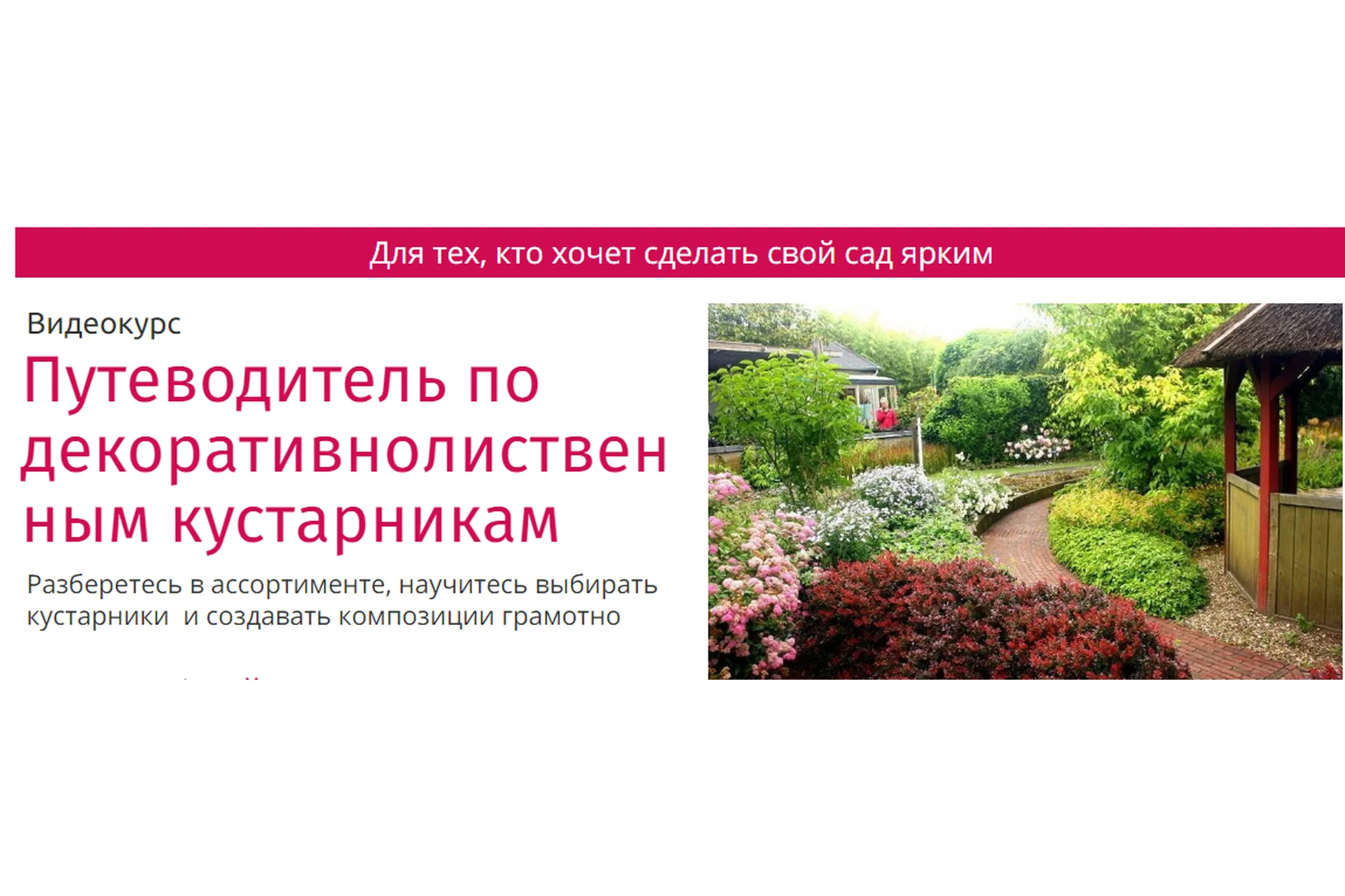 Путеводитель по декоративно-лиственным кустарникам (Наталья Мягкова), фото 1 из 1.