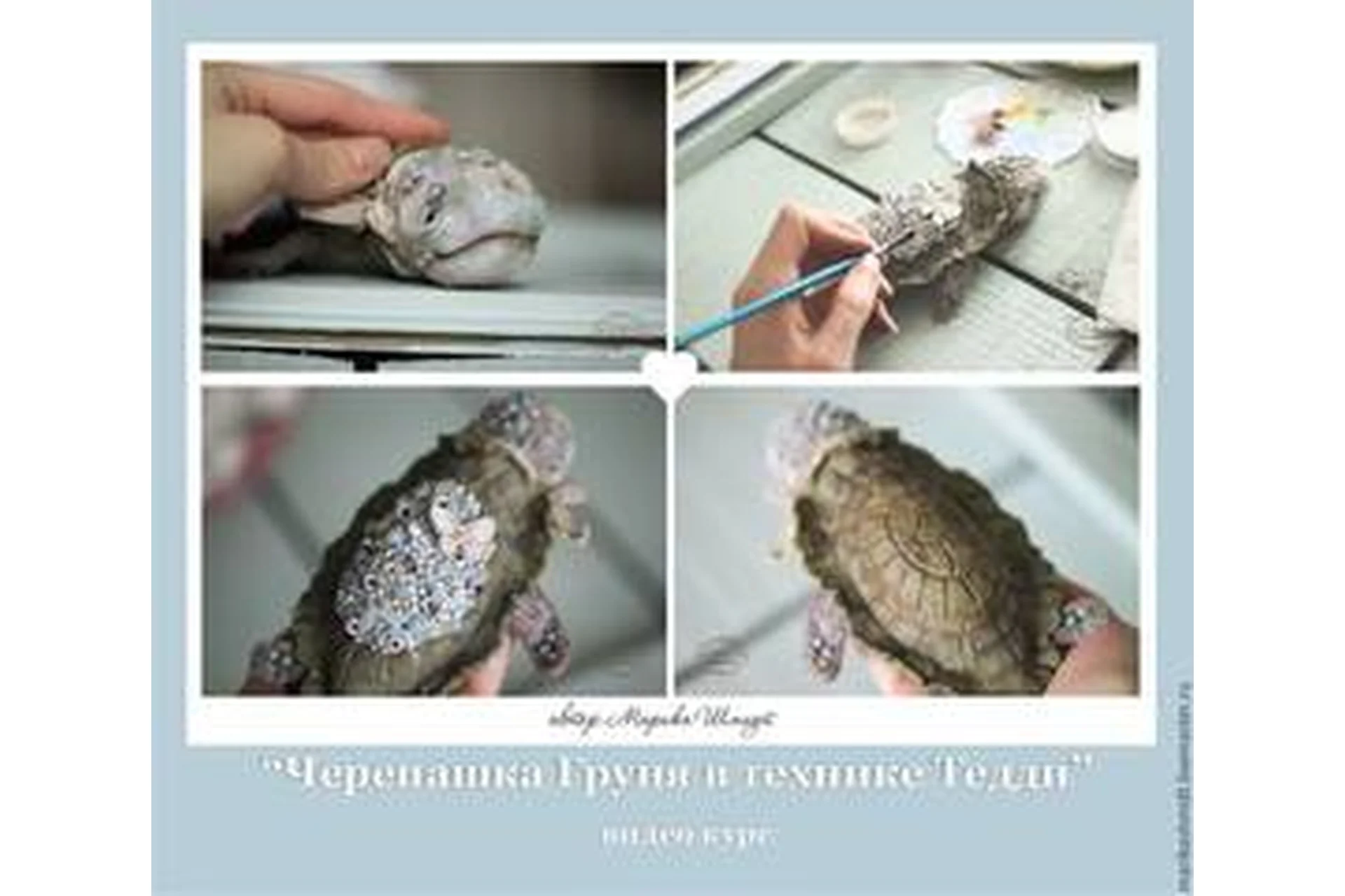 [Школа авторской игрушки] Черепашка Груня (Марика Шмидт), фото 1 из 1.