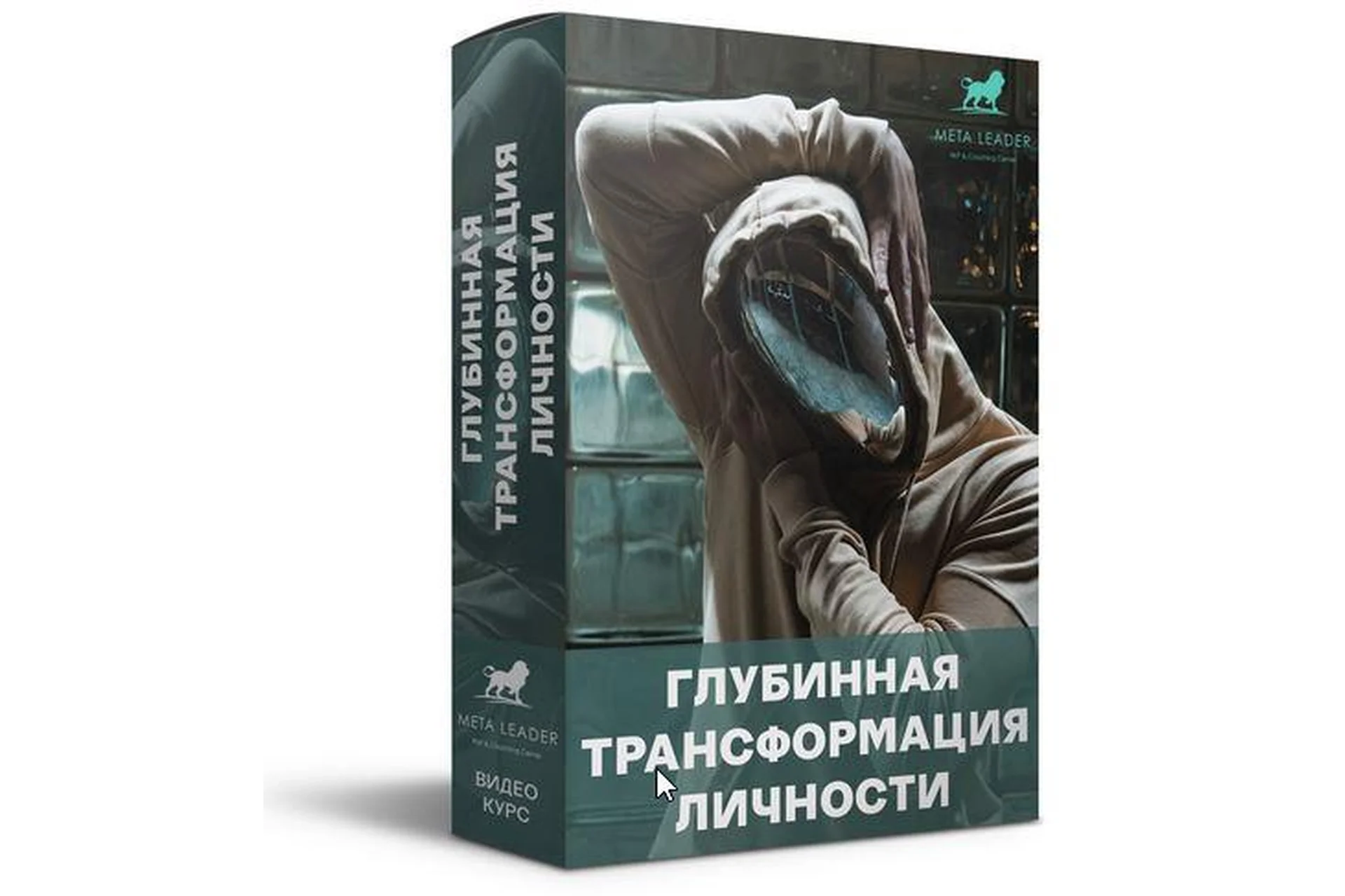 Глубинная трансформация личности (Кирилл Прищенко), фото 1 из 1.