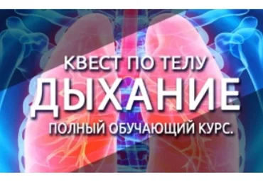 Квест по телу. Дыхание. Полный обучающий курс (Антон Шапочка)