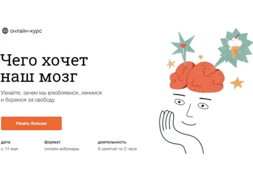 [Синхронизация] Чего хочет наш мозг (Вячеслав Дубынин)