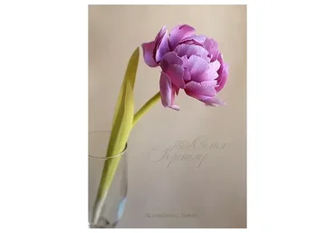 Цветы из фоамирана (Лилия Кренцлер)