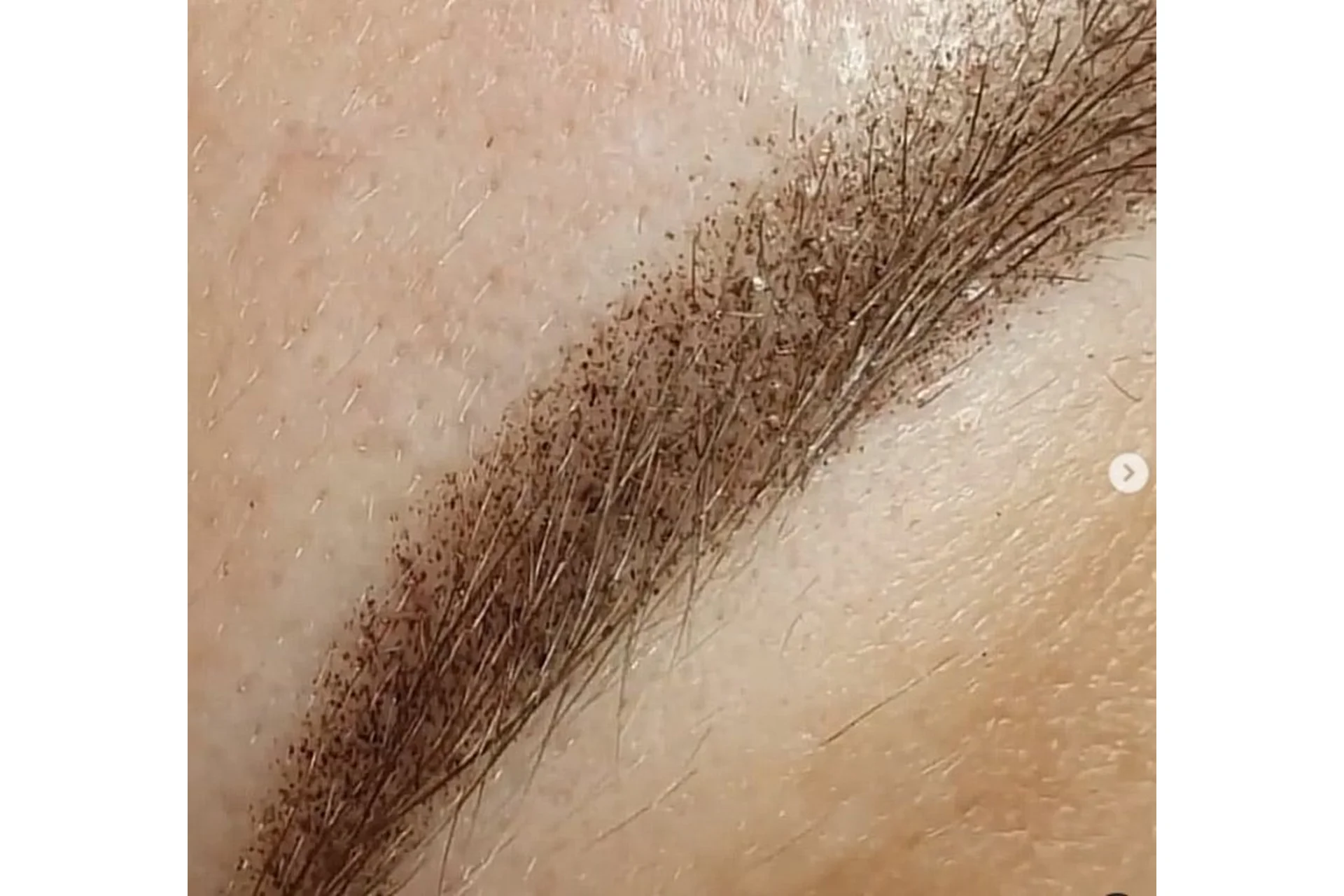 Мастер-класс по растушевке на бровях (Аня Дубовик), фото 1 из 1.