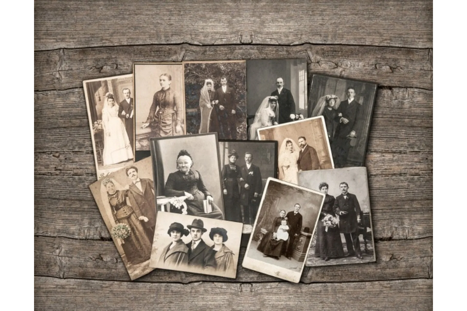 Мой род: ресурсы и смыслы. Онлайн-курс по работе с полем семейных систем (Елена Веселаго), фото 1 из 1.