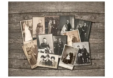 Мой род: ресурсы и смыслы. Онлайн-курс по работе с полем семейных систем (Елена Веселаго)