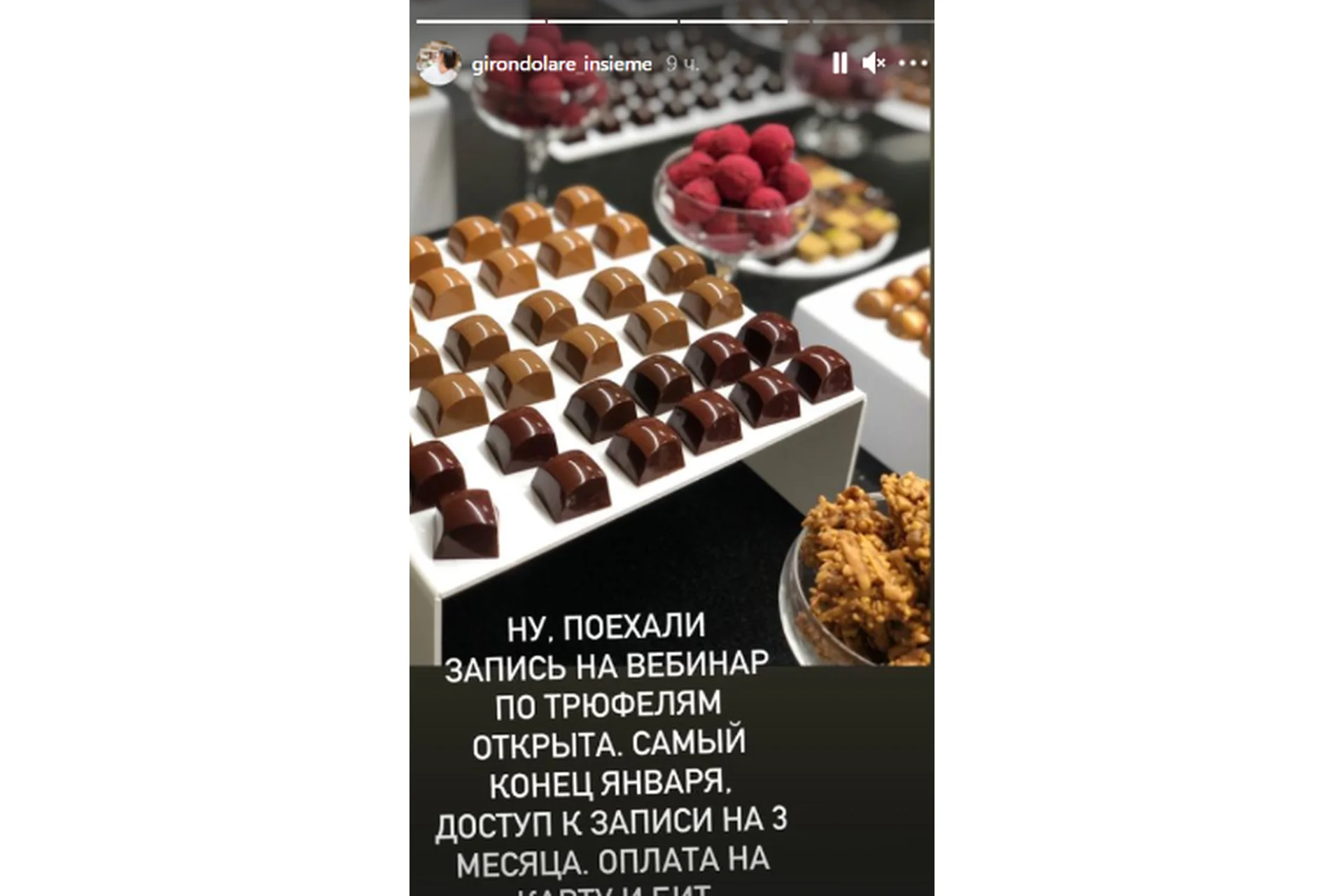 Трюфели. Январь (Ольга Фан-Юнг), фото 1 из 1.