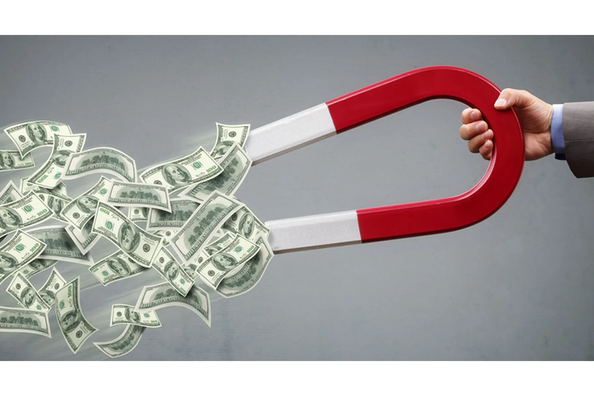 Денежный магнит 8.0 (Евгений Дейнеко), фото 1 из 1.