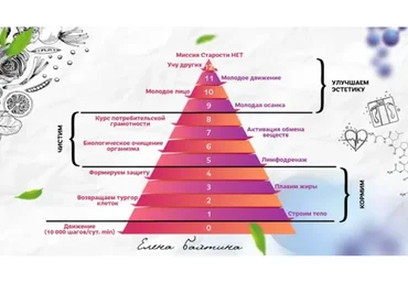 Старости нет. 11 ступень Молодое движение (Елена Бахтина)