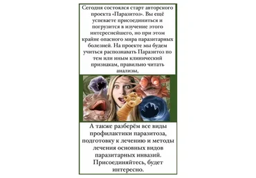 Паразитоз (Елена Чунаева)