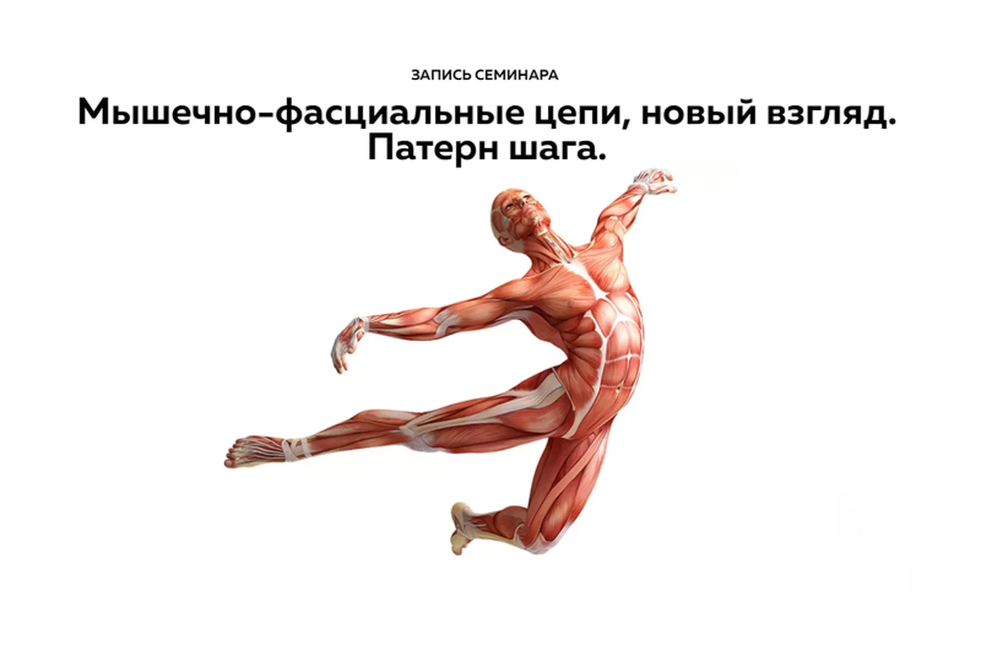 [Школа доктора Крутова] Мышечно-фасциальные цепи. Новый взгляд. Запись  (Дмитрий Кущик), фото 1 из 1.