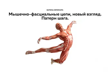 [Школа доктора Крутова] Мышечно-фасциальные цепи. Новый взгляд. Запись  (Дмитрий Кущик)