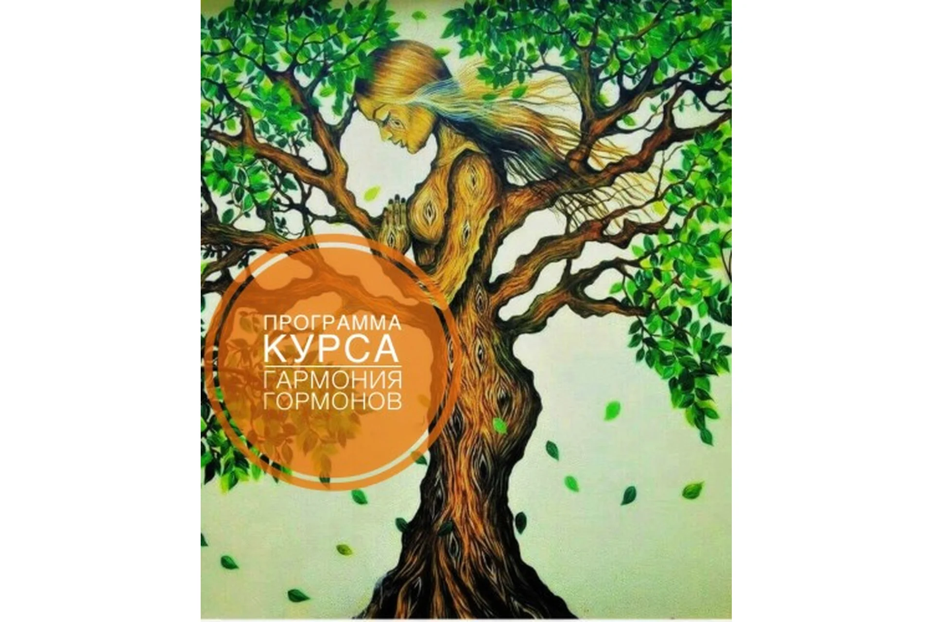 Гармония гормонов, 1 ступень, февраль 2019 (Алена Китаева), фото 1 из 1.